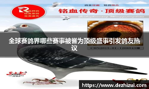 优游娱乐