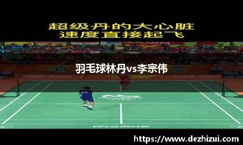 羽毛球林丹vs李宗伟